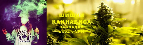индика Покровск