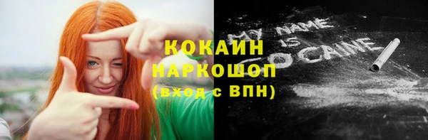 индика Покровск