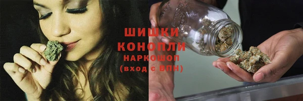 ГАЛЛЮЦИНОГЕННЫЕ ГРИБЫ Покачи