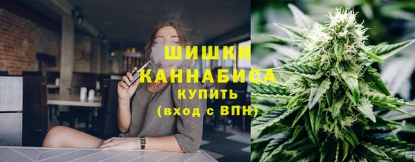 ГАЛЛЮЦИНОГЕННЫЕ ГРИБЫ Покачи