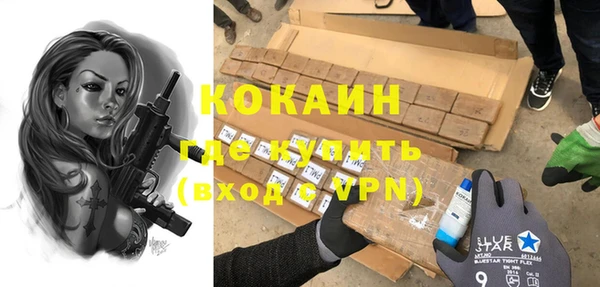 индика Покровск