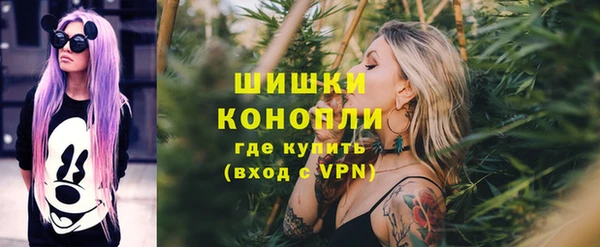 индика Покровск