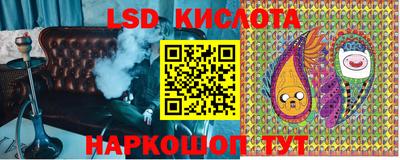 стафф Бийск