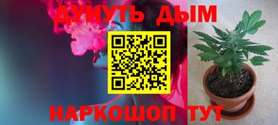 стафф Бийск