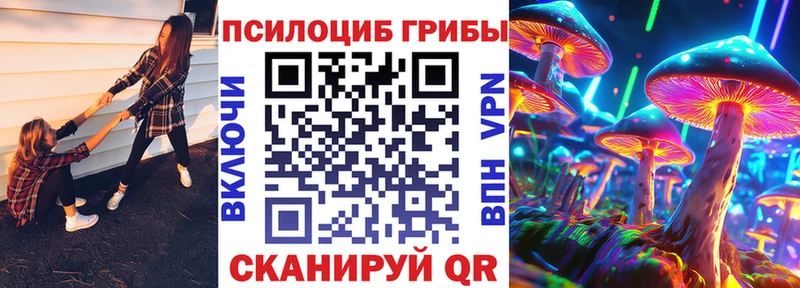Псилоцибиновые грибы GOLDEN TEACHER  Кондопога 