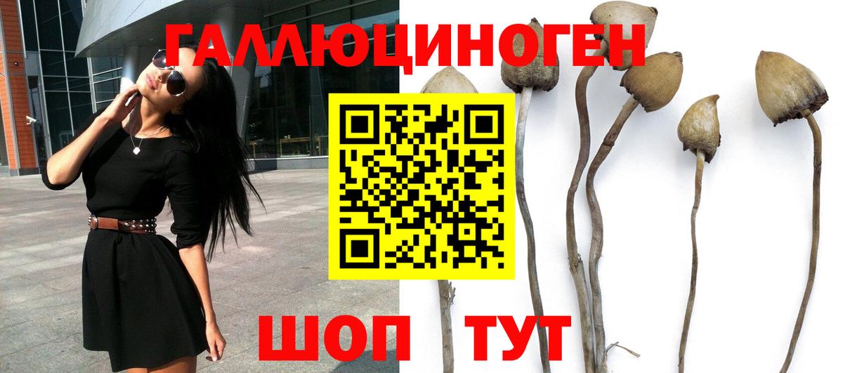 Псилоцибиновые грибы прущие грибы  Кондопога 